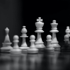 Image of a set of chess pieces arranged on a board for a game.