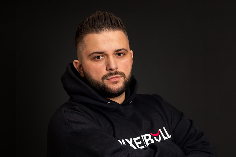 Pixelbull